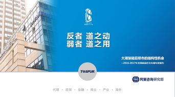 同策房產咨詢股份 專業引領，賦能中國房地產咨詢新時代